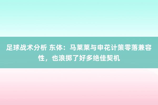 足球战术分析 东体：马莱莱与申花计策零落兼容性，也浪掷了好多绝佳契机