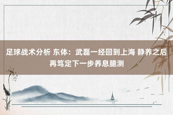 足球战术分析 东体：武磊一经回到上海 静养之后再笃定下一步养息臆测