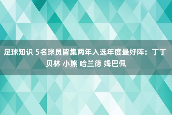 足球知识 5名球员皆集两年入选年度最好阵：丁丁 贝林 小熊 哈兰德 姆巴佩