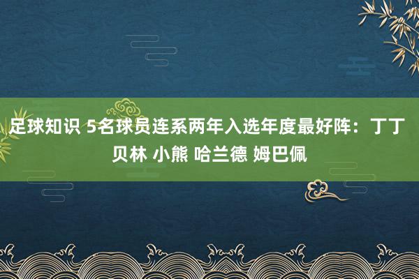 足球知识 5名球员连系两年入选年度最好阵：丁丁 贝林 小熊 哈兰德 姆巴佩